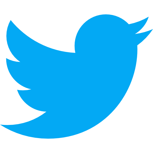A picture of Twitter logo